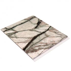 W-01 300x6mm marble color design  pvc ceiling and wall panel 