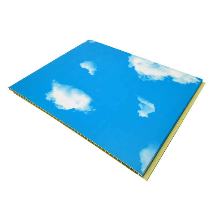 Blue sky design pvc wall panels for bedroom price