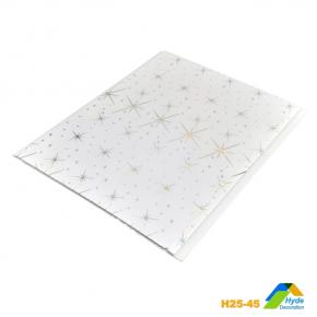 6mm Thickness Interior Wall Decorative Plastic PVC Hot Stamping Star Ceiling Panel Tile